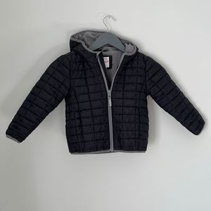 Boys Cat and Jack Puff Jacket-Size 5T Black